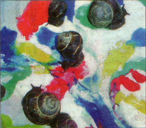 snail painting